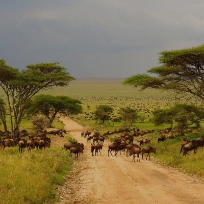 zakaria88854157's profile picture. crypto lover
