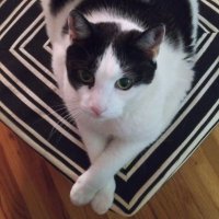 Lady Stardust (@ladysta48470651) 's Twitter Profile