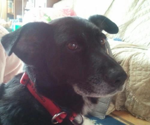 bubu0827's profile picture. 