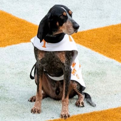 cindy_mulkey's profile picture. Loves the Lord, family and VOLS