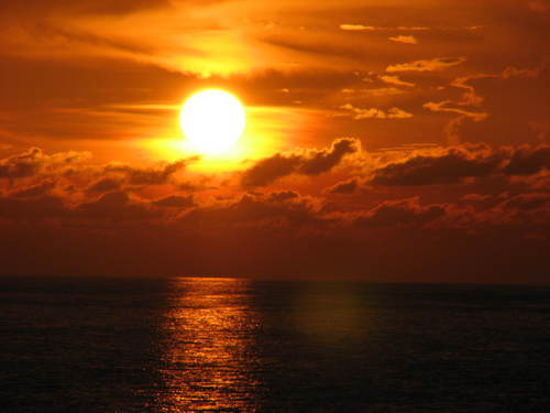 naptimeZZZ's profile picture. 