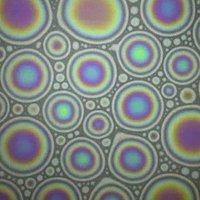 AnandLab (@lab_anand) 's Twitter Profile Photo AnandLab (@lab_anand) 's Twitter Profile Photo