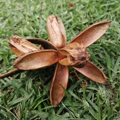 piedrahitaAleja's profile picture.