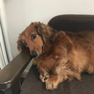 キーコ 結局一旦モノを出して中を掃除してまたしまう という作業で終わりました 収納のアイデア ゼロ 笑笑 パントリーの奥から何故か トリビアの泉のへぇーボタンが出てきた笑笑 へぇー へぇー トリビアの泉 片耳難聴 今は 広末涼子の曲 五分前
