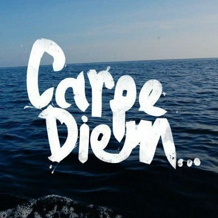 Carpe Diem

👉Justicia + Educación + Trabajo=
Base de una República

🤩ME SEGUÍS, TE SIGO🤩