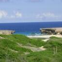 Kerri Shields - @Kerri_A_Beari - Twitter