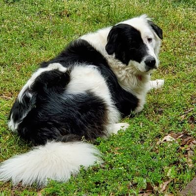 JohnCor51693635's profile picture. I've had so many ideas that I never told anybody about. Time to start talking.