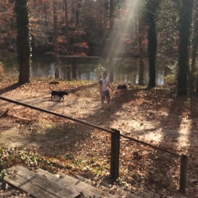 funvibes815's profile picture. 