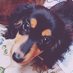 桃太郎RA (@__rushiakina__) Twitter profile photo 桃太郎RA (@__rushiakina__) Twitter profile photo