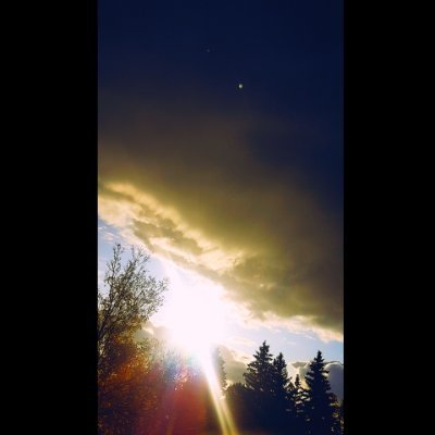 Maxwohlgemuth2's profile picture. I finished Netflix