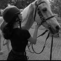 حُـلم➰ (@o_f99900) 's Twitter Profile Photo