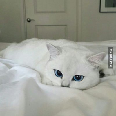 post_melona's profile picture. 