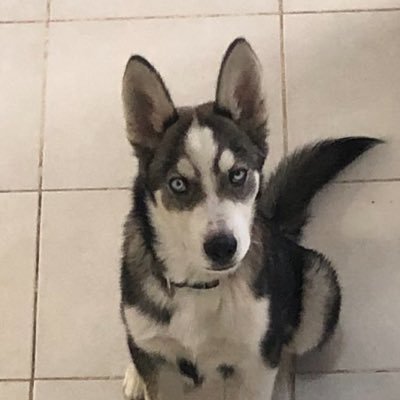 JesusLu72842129's profile picture. 