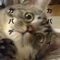 のれん雛(@muzui_mondai) 's Twitter Profile Photo のれん雛(@muzui_mondai) 's Twitter Profile Photo