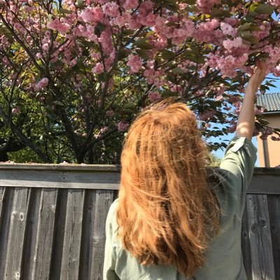 LoveMeT65457414's profile picture. Poesi, nörd