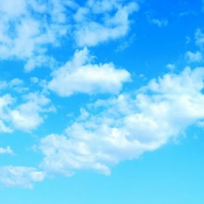 保護猫との出逢いから、命を守り幸せに繋げようと力と心を尽くす方々に出会えた🍀ただただ、命を救いたい✨幸せな家族と出逢って欲しい✨見てるのはここまで!さあ、動くぞ😉👊🐾✨