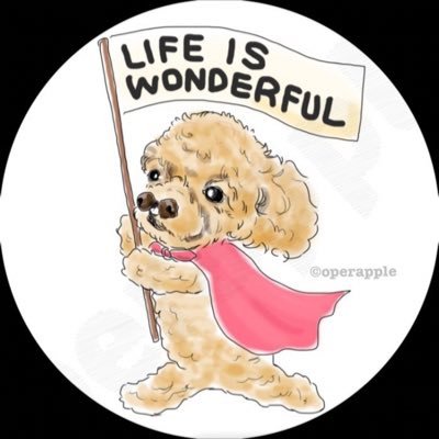 お鼻が二つある障害犬うーちゃん 志村どうぶつ園で事故で歩けない柴犬 車いすでお散歩 うーちゃんと一緒に 観ていますよ 志村どうぶつ園 山田裕貴 相葉雅紀 志村けん 障害犬うーちゃん 障害犬支援センター 障害犬支援