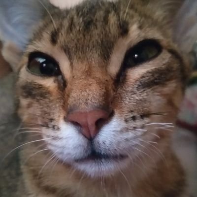 acx____'s profile picture. Namaste 👽🌈🌹🌵