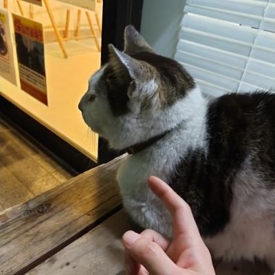 kikuta_takeshi's profile picture. Working as IT engineer & being a good husband at home.  #AWS #Azure #Linux