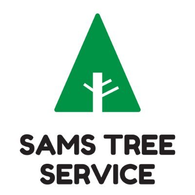 Sams Tree Service Union City is a reputable local company providing various tree services.

Find us on google map: https://t.co/PegZ0pUppu