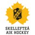 Skellefteå AIK DAM (@skeaikdam) Twitter profile photo