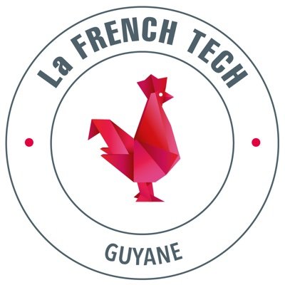 (Ex Guyane Tech) / Cluster des acteurs de l'innovation digitale en Guyane