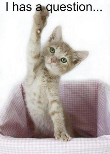 funquestions1's profile picture. Funny Questions