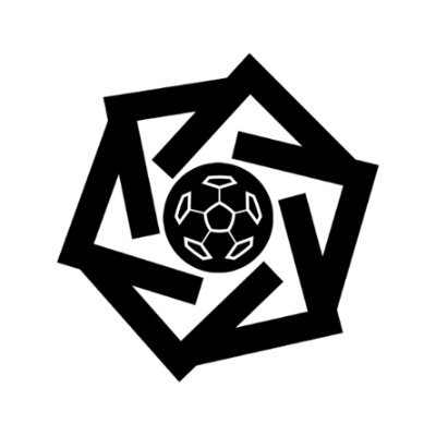 Ludica Football Collective Profile
