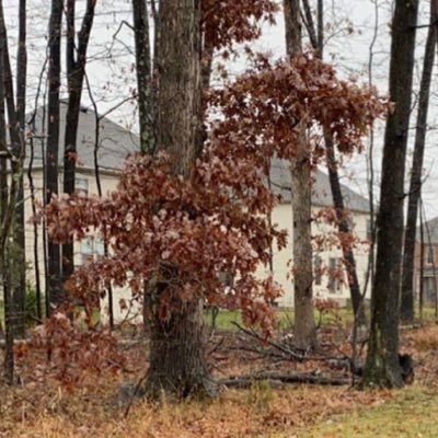 19qo19's profile picture. 