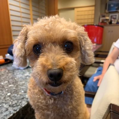 katuramama3735's profile picture. 