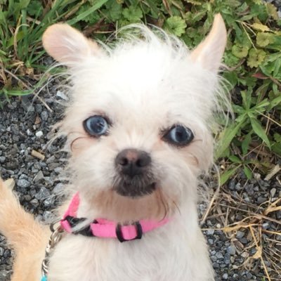 NancyFudge6's profile picture. I tell stories. Children’s, History, Space, and Sci Fi. I match books. #writercommunity #scribophile #writerlift #amwriting #amediting #betabooks