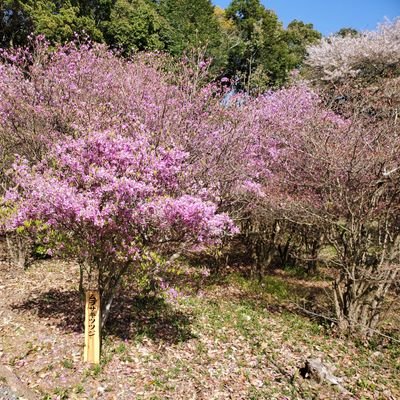 とある主婦の独り言 Komekomesougo Twitter