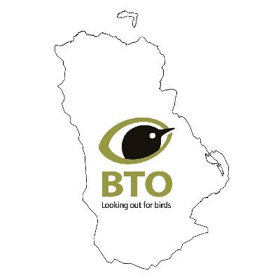 Puffin  BTO - British Trust for Ornithology