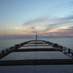 Dry Bulk Chartering (@alister1127) Twitter profile photo