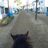 Equusaholic's profile image