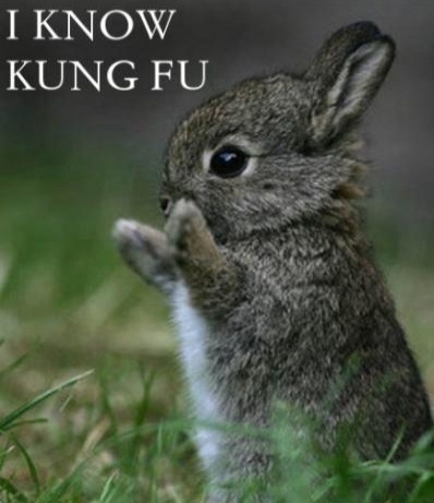 I quote my #KungFu #Sifu with #Honor & #Respect.Some #funny, some #weird, some #serious, but all will make you think & hopefully #think #differently. #Peace.