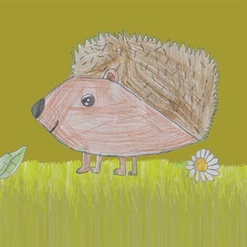 Mapping Buxton's hedgehogs and engaging with schools and community to promote hedgehog conservation. Project run by Lindsey Wakefield.