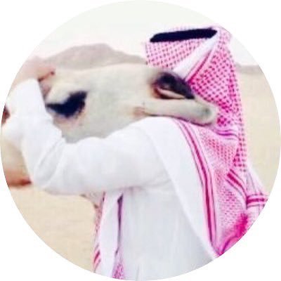 سنافي وشاعر ، رابط السناب حياكم )؛ 👇🏻