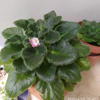 Zehra Özdemir (@zozdemiryldrm) Twitter profile photo