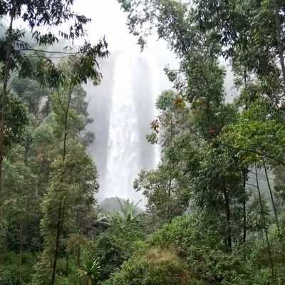 K1Godfrey's profile picture. Human