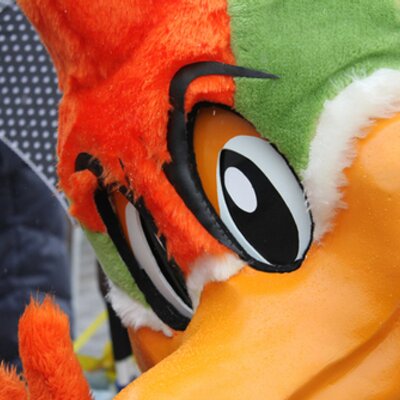 カイト/宗像サニックスブルース (@sanixblues_kite) / X カイト/宗像サニックスブルース (@sanixblues_kite) / X