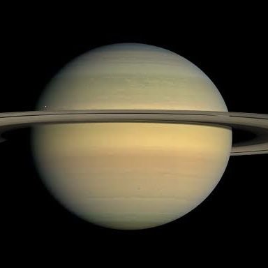 Ringed_Planet Profile