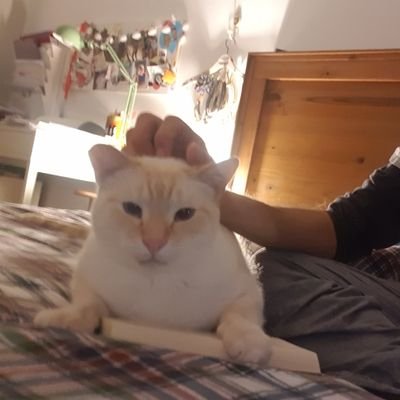 jorgeglezrod's profile picture. Post Doc at @RudroffLab in @biosynchem! Just me.