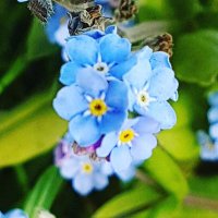 Helena (@helena14049176) Twitter profile photo