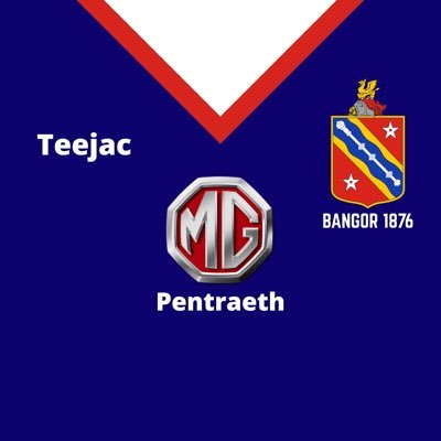 Bangor 1876 supporter, model maker, Manics fan, proud dad and Taid💙