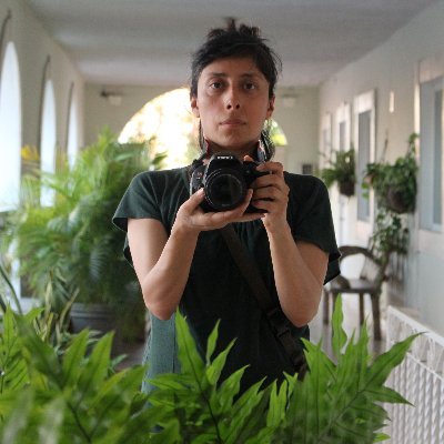 Artista interdisciplinaria
Los huecos de la red
https://t.co/M284InipV1
Portfolio: https://t.co/BkEWfp7gb5