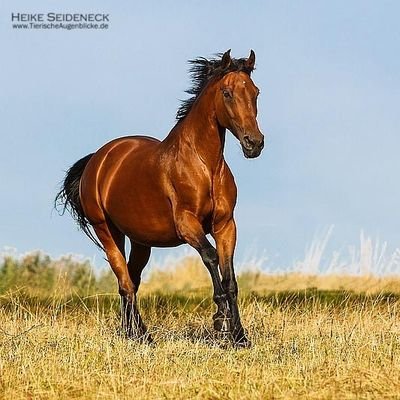 Schreiberling6's profile picture. Bei der Arbeit