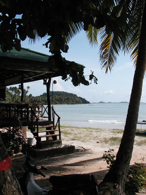 twinum's profile picture. Mother, wife, volunteer, organizer, runner, yogi, foodie