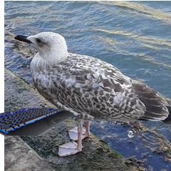 NewTyFishy's profile picture. 