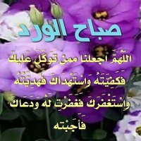 خزعل التميمي (@hlu8v8h1j71g4ct) 's Twitter Profile